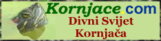 Kornjace.com - Divni Svijet Kornjaca